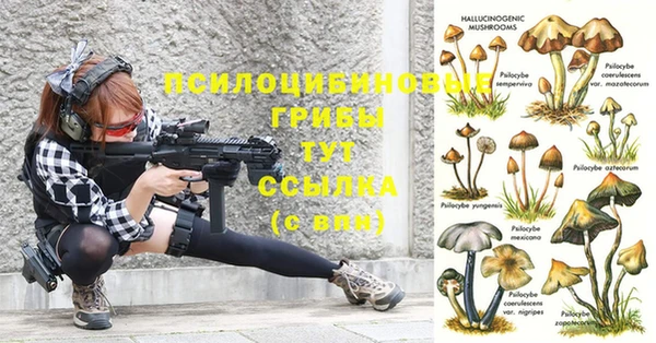 дмт Абинск