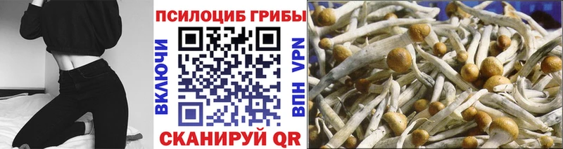 это клад  Ясный  Галлюциногенные грибы GOLDEN TEACHER  кракен зеркало 